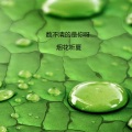 烟花听夏 - 对你犯了错