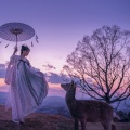 森林鹿 - 清空茶道|茶楼茶馆养生音乐