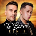 Te Borré (Remix)