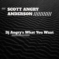 Scott Angry Anderson、Scott Anderson - Dj Angry's What You Want