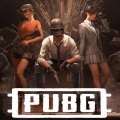 Mk 12-D - Pubg Theme Song