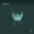 Extension EP