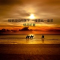 烟花听夏 - 相思泪如雨落下
