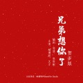 兄弟想你了