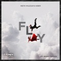 Fly