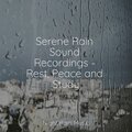 Rain Drops for Sleep、The Rainforest Collective、Water Sound Natural White Noise - Running Water