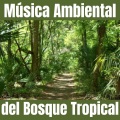Música Ambiental del Bosque Tropical