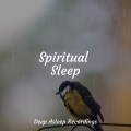 Spiritual Sleep