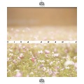 Jickow - Anxiety Disorder