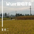 其他:说唱伴奏