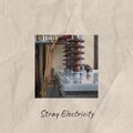 Stray Electricity