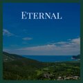 Untagged - I Will Find Peace