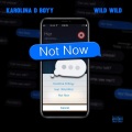 Karolina D Boyy、Wild Wild - NOT NOW (Explicit)