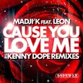 Cause You Love Me (The Kenny ** Remixes)