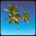 Global Chill, Vol. 5