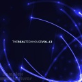 The Real Techhouse, Vol. 13