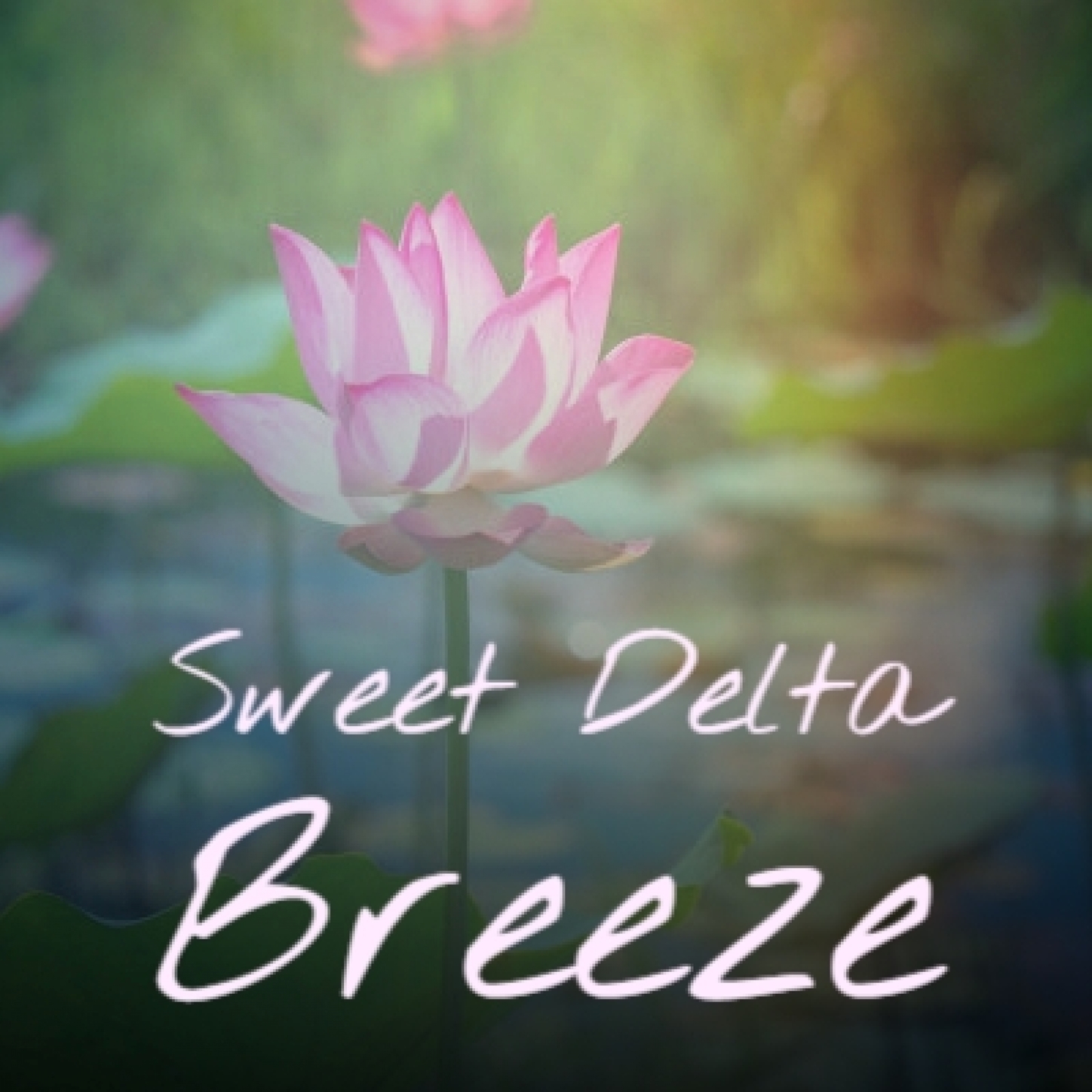 Sweet Delta Breeze