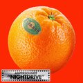 Fred Falke、Ampersounds - Nightdrive