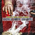 Magesh、Dj Shampli、Homeboii99、Boontle - Sghubu Sama Sangoma (feat. Boontle Magesh & Dj Shampli版)