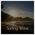 Peter Hamer - Surfing Wave
