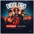 Didolobo (feat. NT4 & Naira Marley)