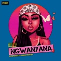 Ngwanyana (feat. Tshego)(Explicit)