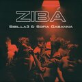 Zibá