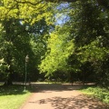 Yojo Summer - Park Bird