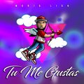 Mario Lion - Tu me gustas