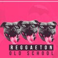 Dj Mix Urbano - Mix Reggaeton Old School