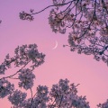 不南 - 宝贝