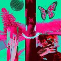 King Felix - ZENITH