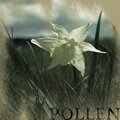 Elixir、Lucas Reiter - Pollen