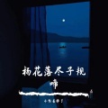 小熊丢掉了 - 杨花落尽子规啼