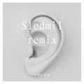 Sledmil - 掌嘴-只想对你说 (Sledmil remix)