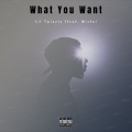 Lil Twizzle、Mista - What You Want (Explicit)