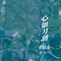 张敬尧 - 心如刀割 (remix: 张学友)