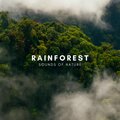 Natural Sounds、Natural Sounds Selections、Zen Sounds - Calming