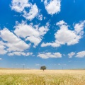 Bedtime Baby、Mindfulness Mediation World、Healing Meditation Zone - Glorious Spring