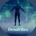 Nicoco - Dendrites