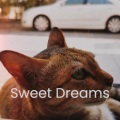 Patsy Cline - Sweet Dreams