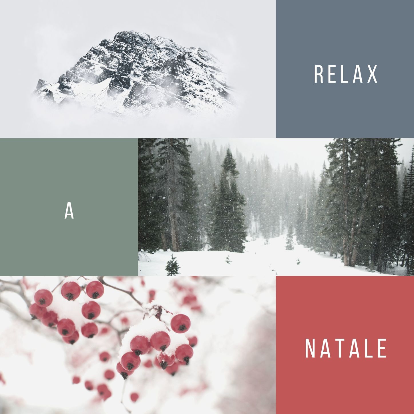 Natale Bianco - Tu scendi dalle stelle