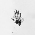 Dylan - Bleed (Explicit)