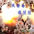 天籁湖哥 - 归途