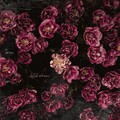 Rose Garden