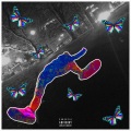 Bungus - PLUTO