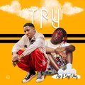 Try (feat. Seyi Vibez)