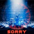 DJ A.K.A - Alan Walker - Sorry  | Official Audio