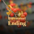 Audio Aftermath - Bittersweet Ending