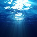Pisces - Gam Ze Yavor